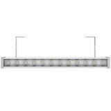 pi-promled-barokko_optic-24-600mm-blue-10x65gr-3