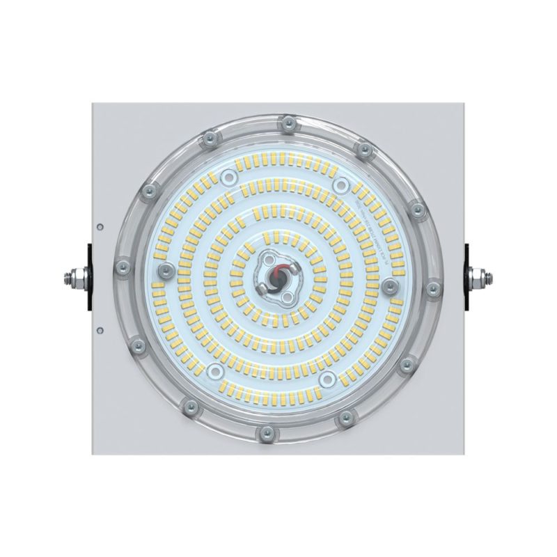 pi-promled-projector_d-50-120gr-2 pi-promled-projector_d-50-120gr-2