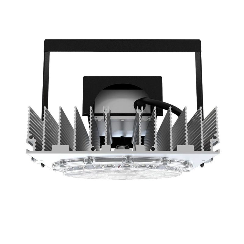 pi-promled-projector_d-80-20gr-20gr-6 pi-promled-projector_d-80-20gr-20gr-6