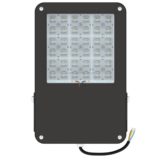 pi-promled-projector_f-100-100x30gr-2