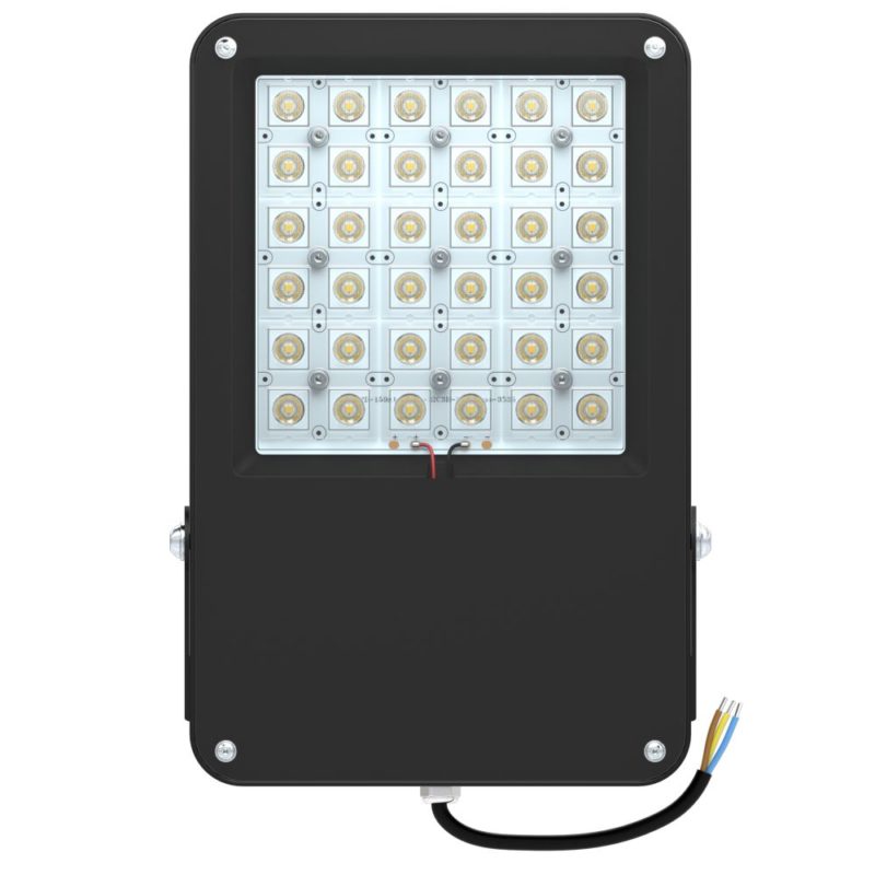 pi-promled-projector_f-80-40gr-2 pi-promled-projector_f-80-40gr-2
