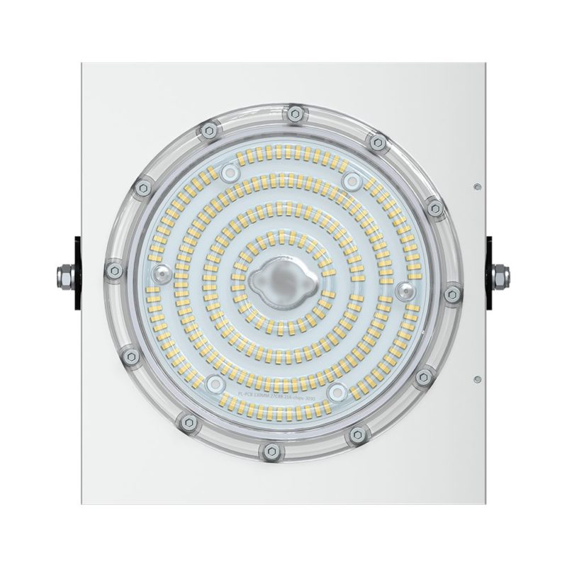 pi-promled-projector_d-100-extra-120gr-2 pi-promled-projector_d-100-extra-120gr-2