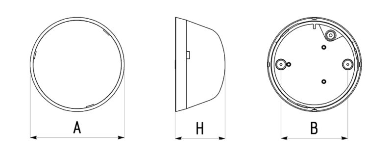 TLR TLR