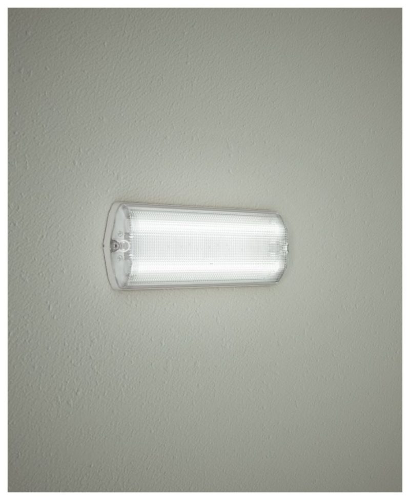 TLM_CL-3 TLM_CL-3